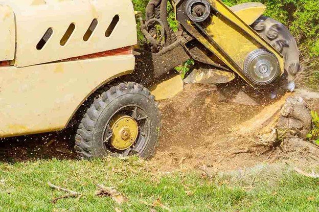 Close-up of a stump grinding machine cutting below ground level to remove a tree stump from a residential yard.