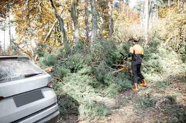 Tree service crew responding to emergency storm damage in North Royalton, Ohio.