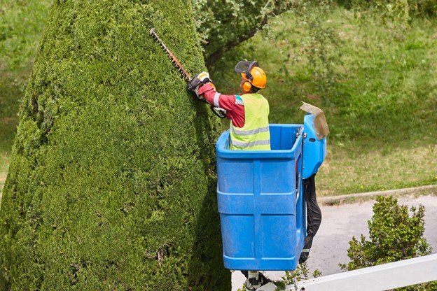 tree trimming service in Northeast Ohio, hedge trimming with professional equipment