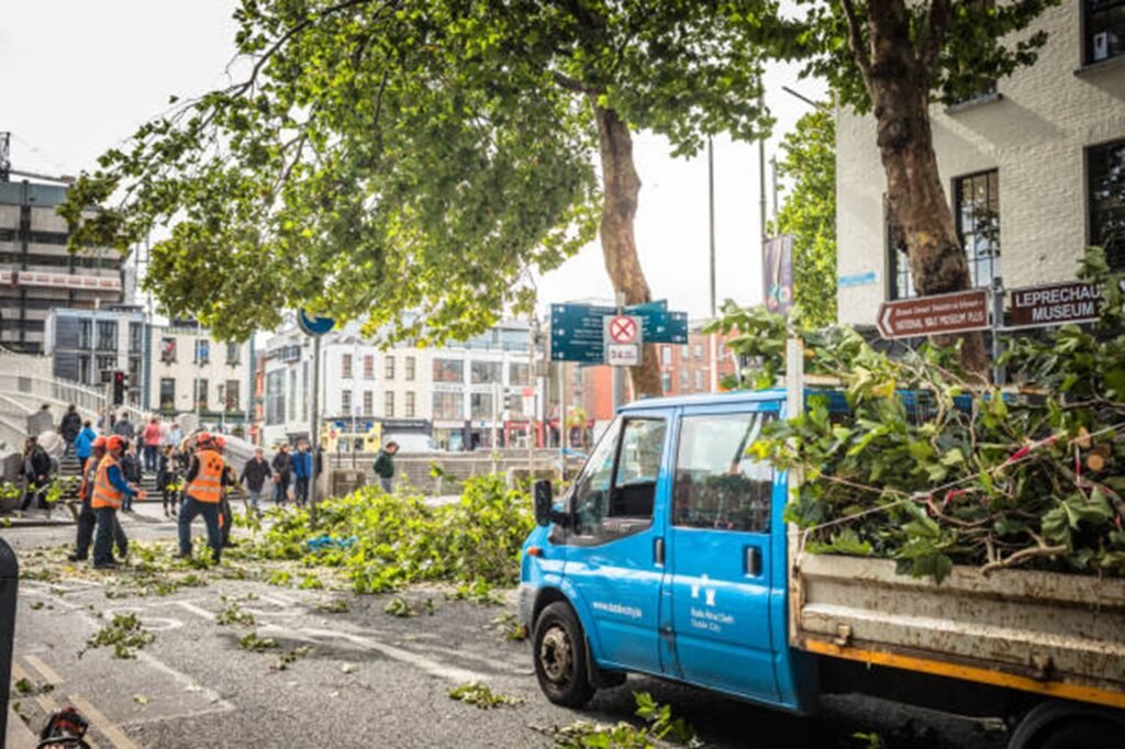 Emergency tree removal completed and driveway cleared in Fairlawn, Ohio