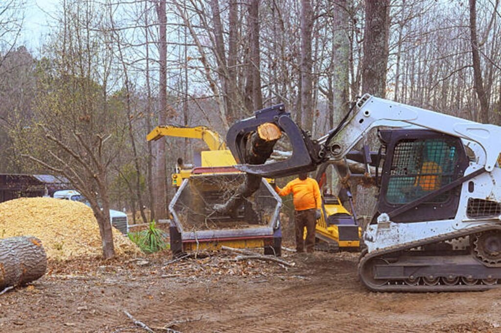 Hazardous tree safely removed from residential property in Fairlawn, Ohio