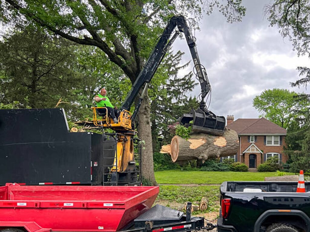 Tree removal crew using controlled sectional cutting techniques near a residential home in Fairlawn, Ohio