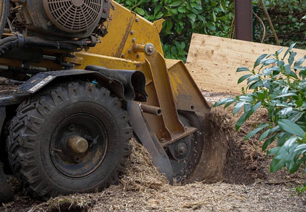 Stump grinding equipment removing a large tree stump from a residential yard in Fairlawn, Ohio