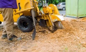 stump grinding machine removing tree stump in Fairlawn, OH, yard landscaping service